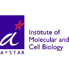 Institute of Molecular and Cell Biology, ASTAR logo
