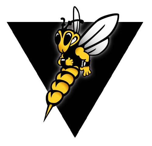 威斯康星大学苏必利尔分校 logo
